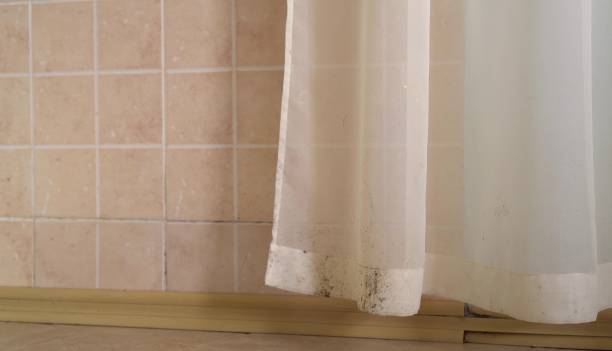 Best Mold Removal for HVAC Installations  in Bridgeville, DE
